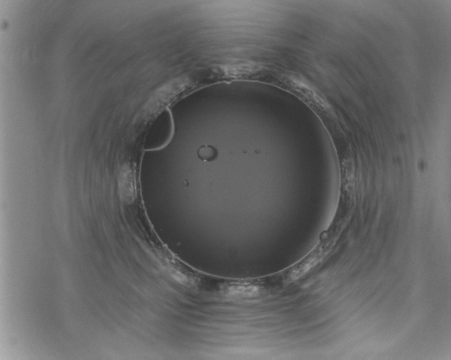 X0000072960471200608041157