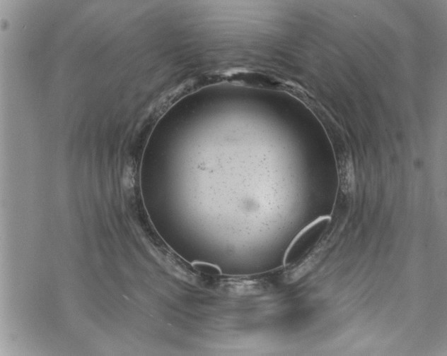 X0000072960472200608041157