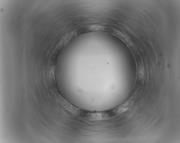 X0000072960473200608041157