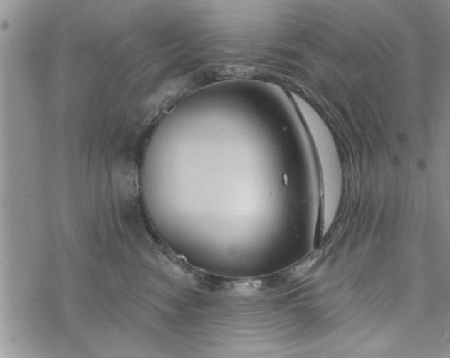 X0000072960474200608041157