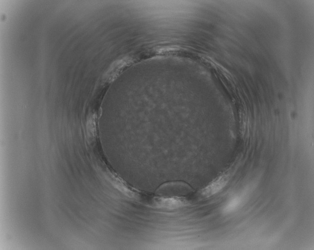 X0000072960475200608041157