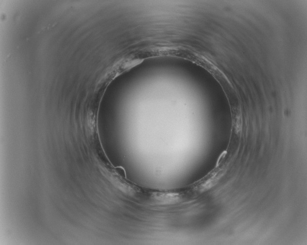 X0000072960476200608041157