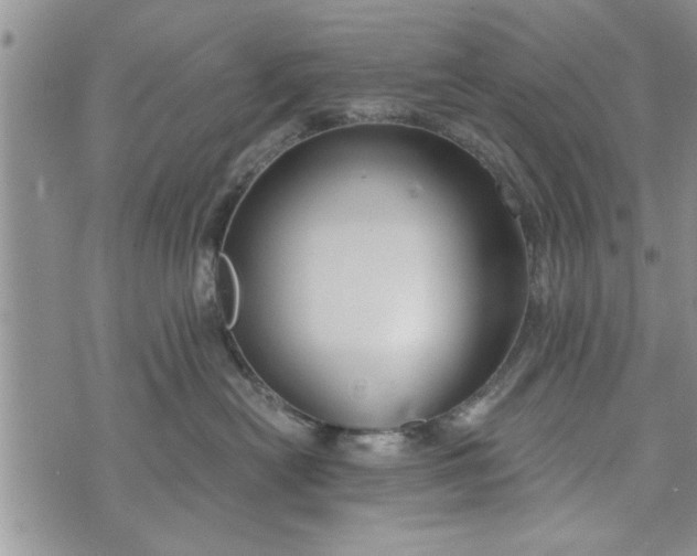 X0000072960478200608041157