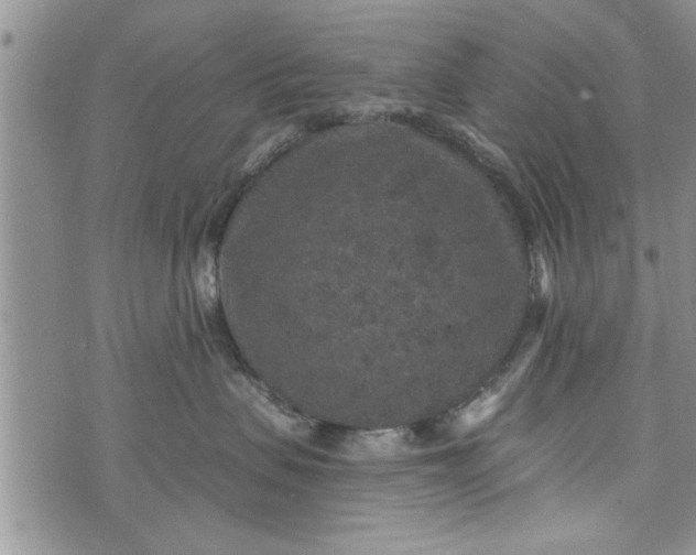 X0000072960479200608041157