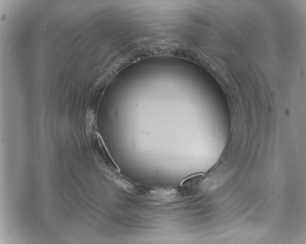 X0000072960480200608041157