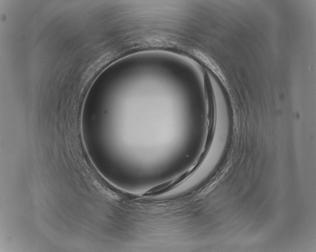 X0000072960481200608041156