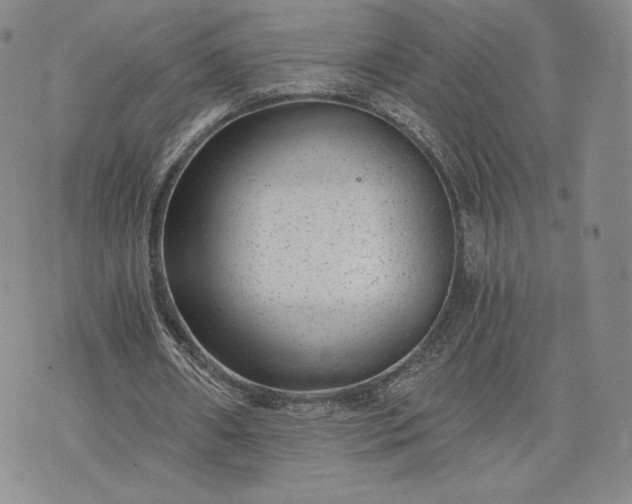 X0000072960482200608041156