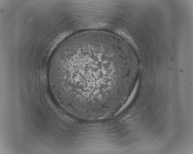 X0000072960483200608041156