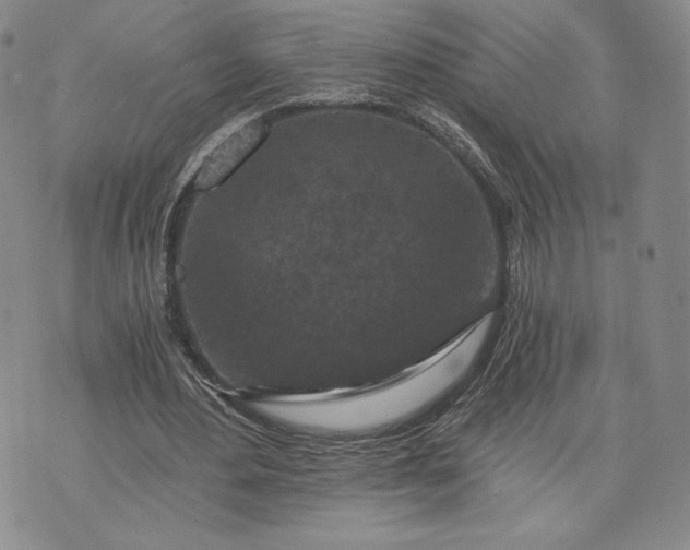 X0000072960484200608041156