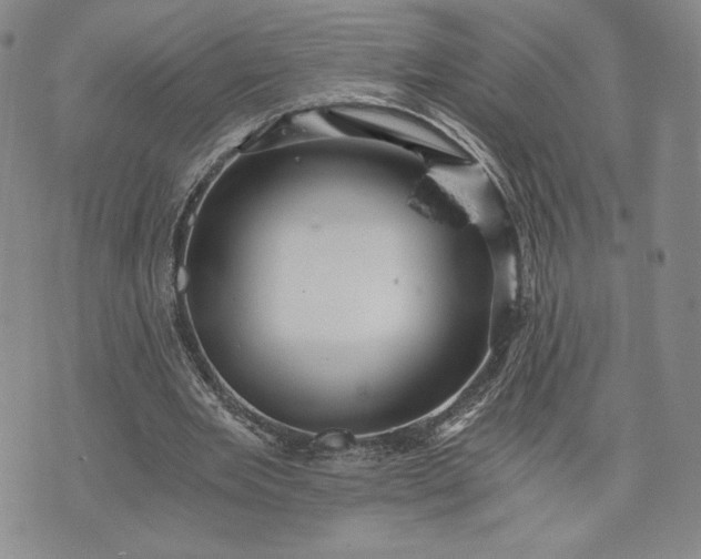 X0000072960485200608041156