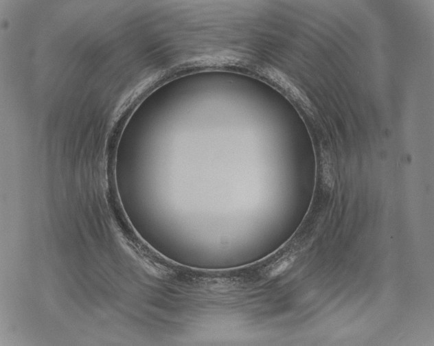 X0000072960486200608041156