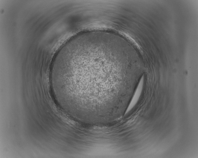 X0000072960487200608041156