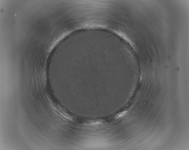 X0000072960488200608041156