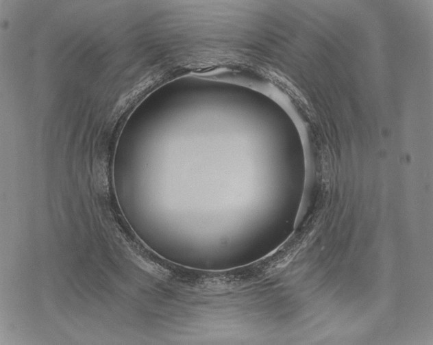 X0000072960489200608041156