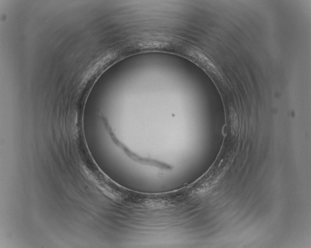 X0000072960490200608041156