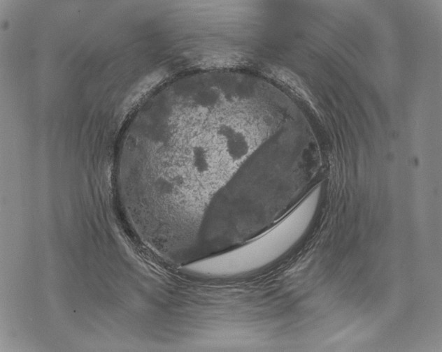 X0000072960491200608041156