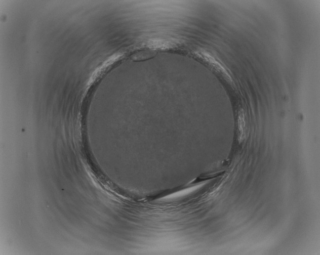 X0000072960492200608041156