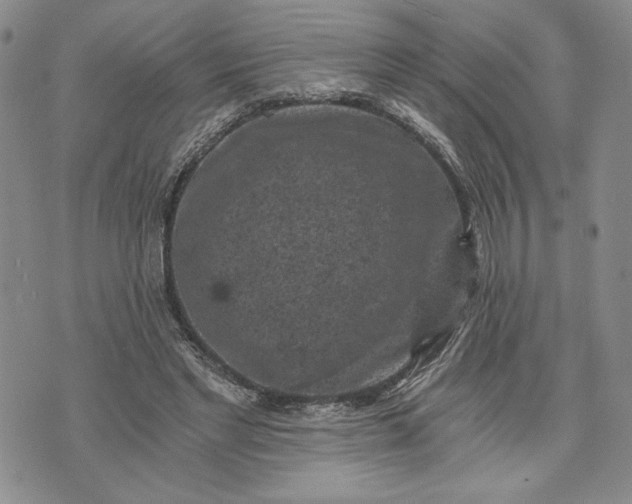 X0000072960493200608041156