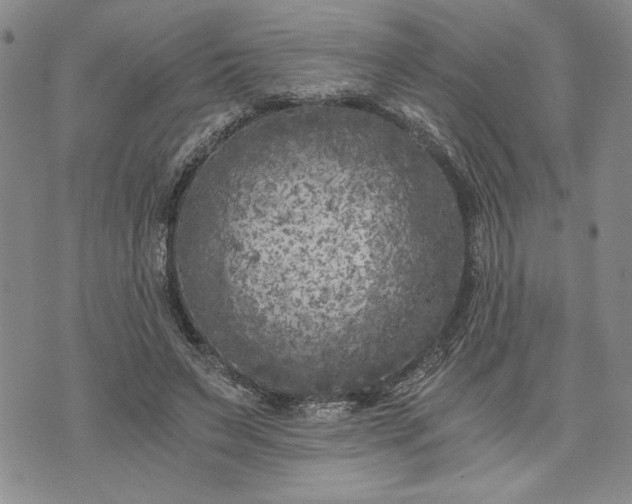 X0000072960495200608041156