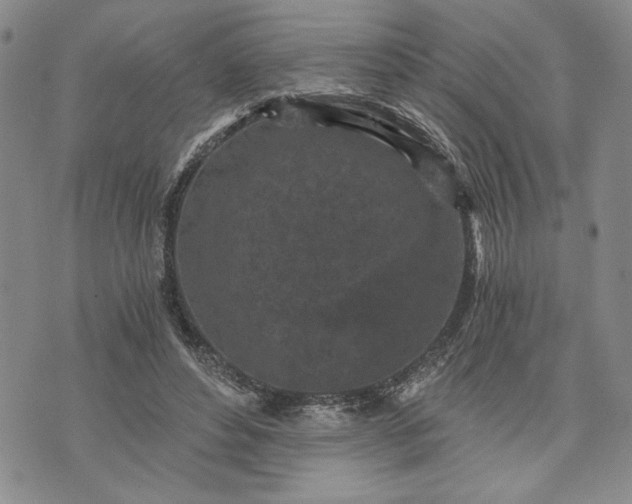 X0000072960496200608041156