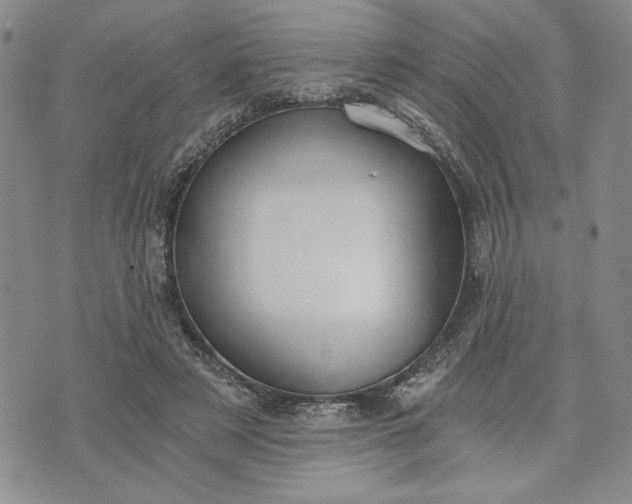 X0000072960497200608041156