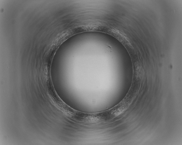 X0000072960498200608041156