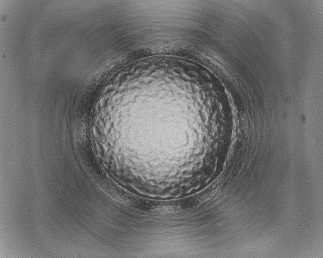 X0000072960499200608041156