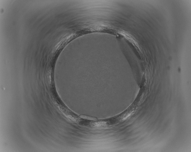 X0000072960501200608041156