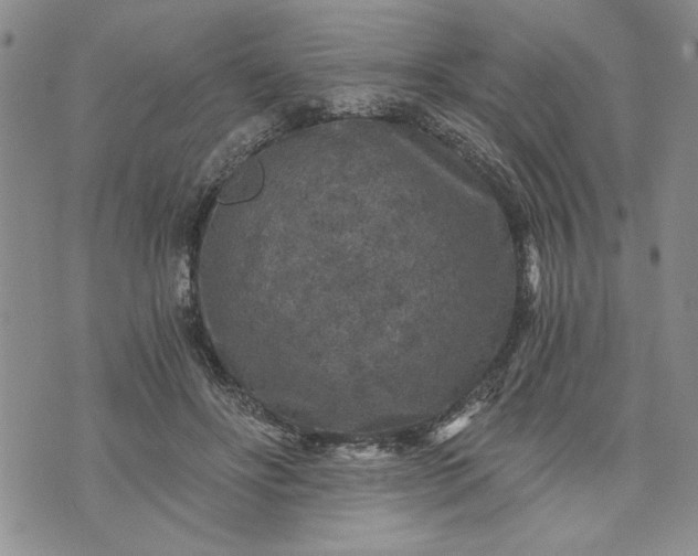 X0000072960502200608041156