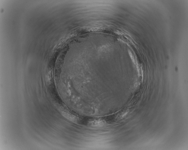 X0000072960503200608041156