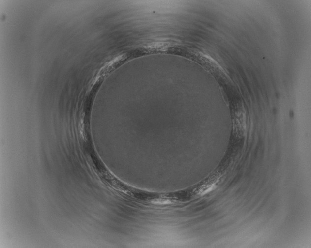 X0000072960504200608041156