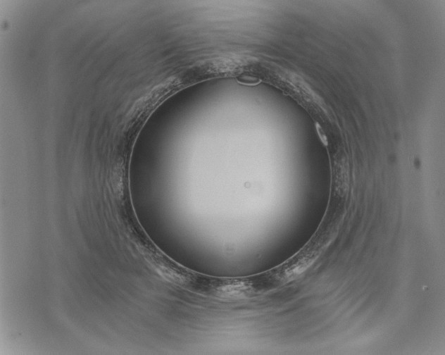 X0000072960505200608041156