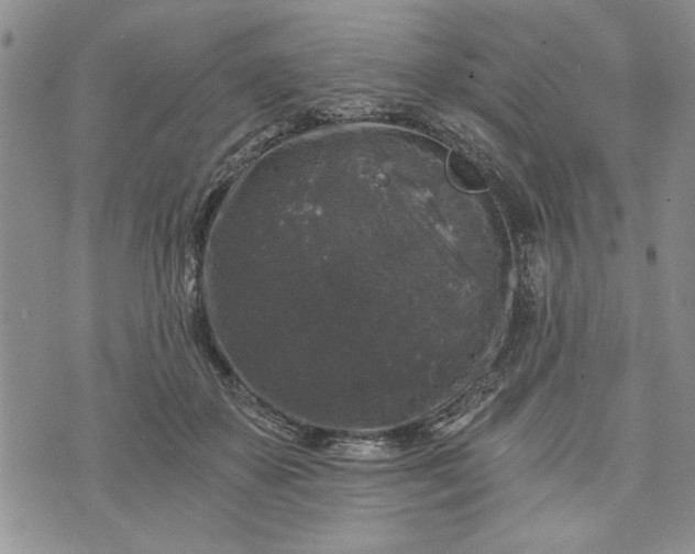 X0000072960507200608041156