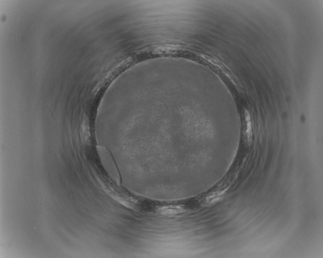 X0000072960508200608041156