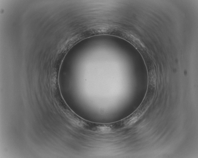 X0000072960509200608041156