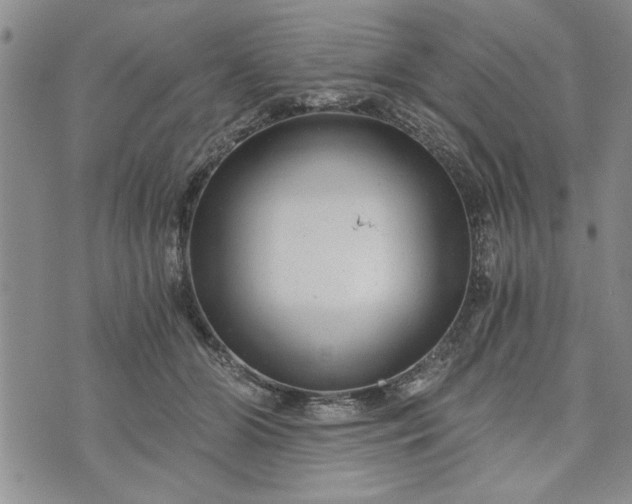 X0000072960510200608041156