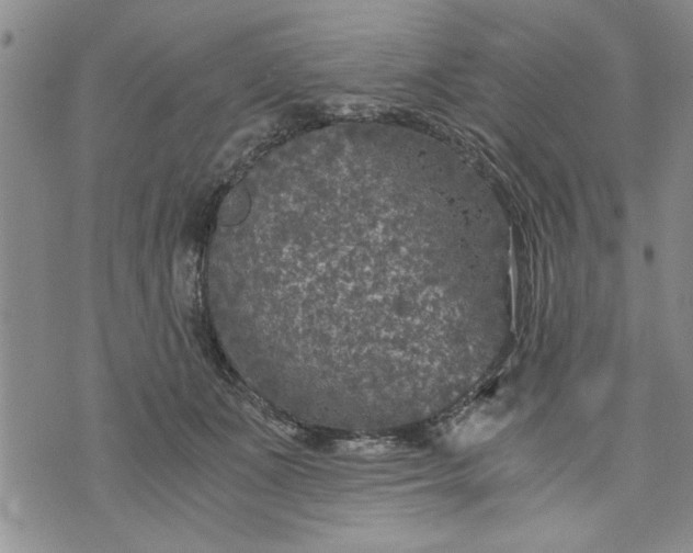 X0000072960511200608041156