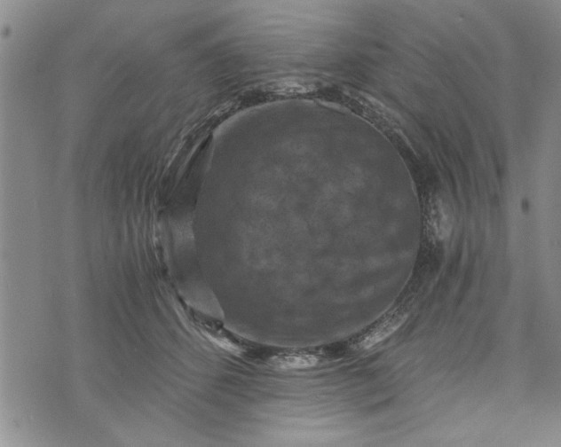 X0000072960512200608041156