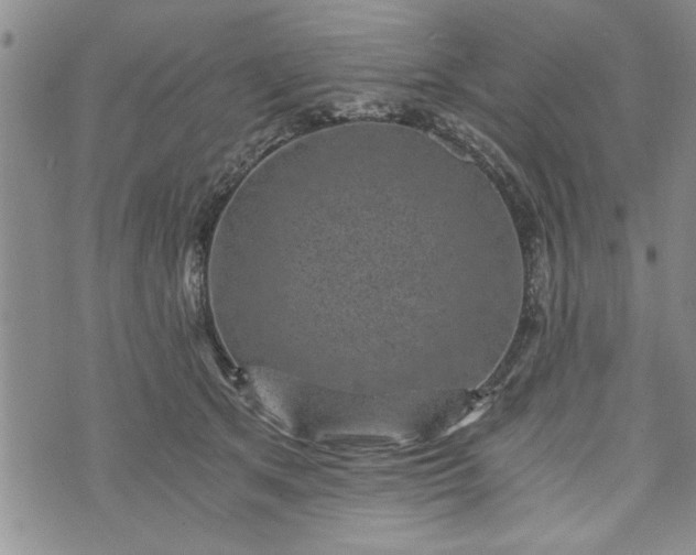 X0000072960513200608041156