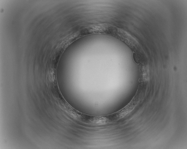 X0000072960514200608041156