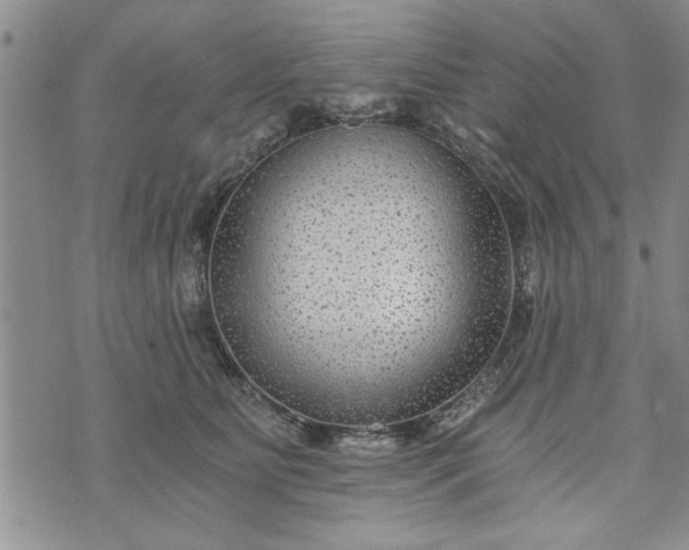 X0000072960515200608041156