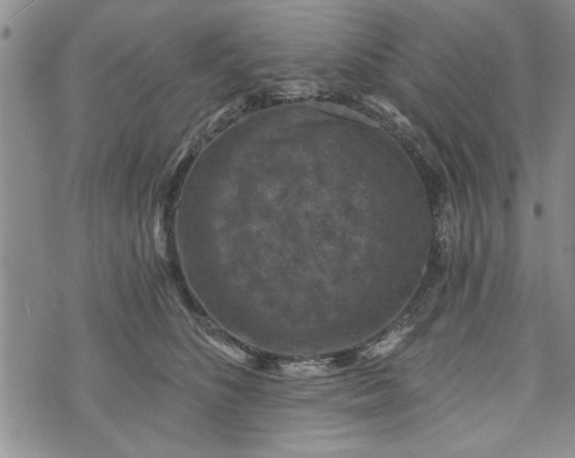 X0000072960516200608041156