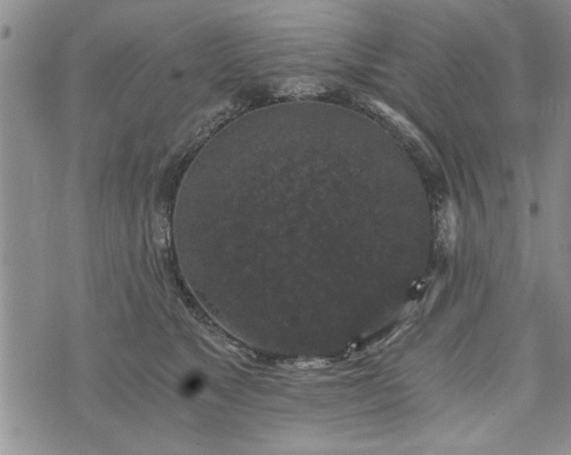 X0000072960517200608041156