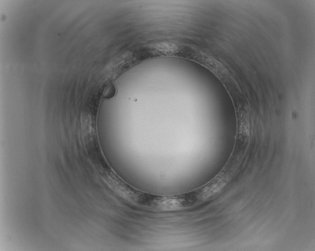 X0000072960518200608041156