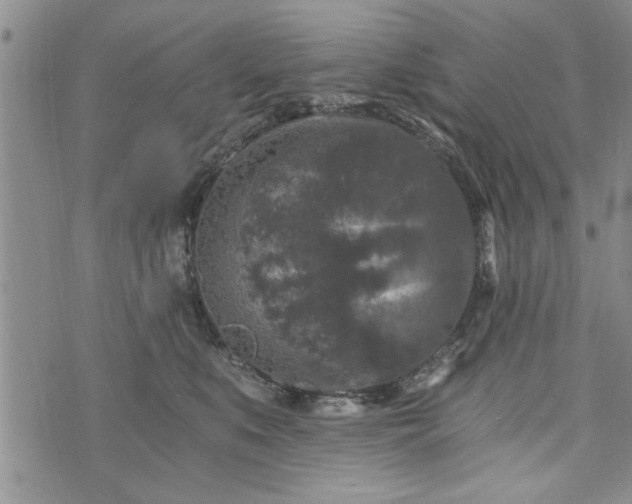 X0000072960519200608041156