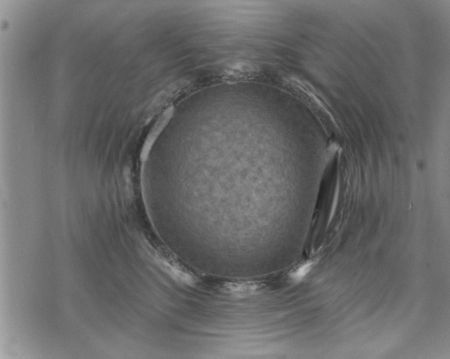 X0000072960520200608041156