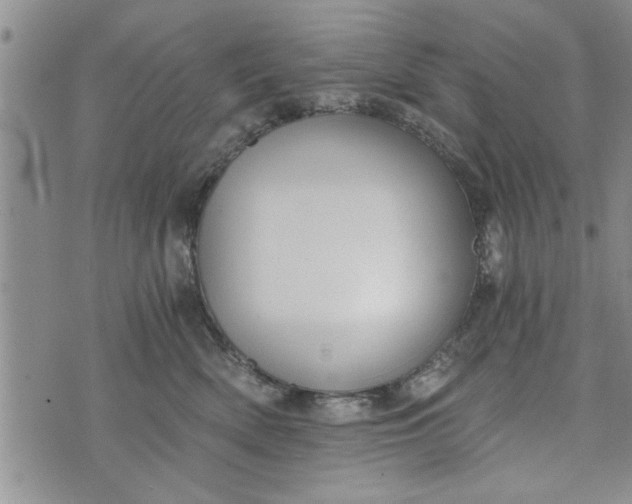 X0000072960522200608041156