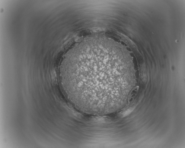 X0000072960523200608041156