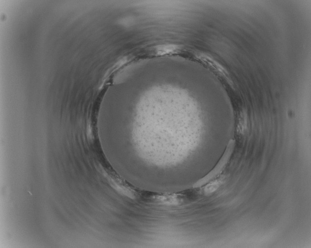 X0000072960524200608041156