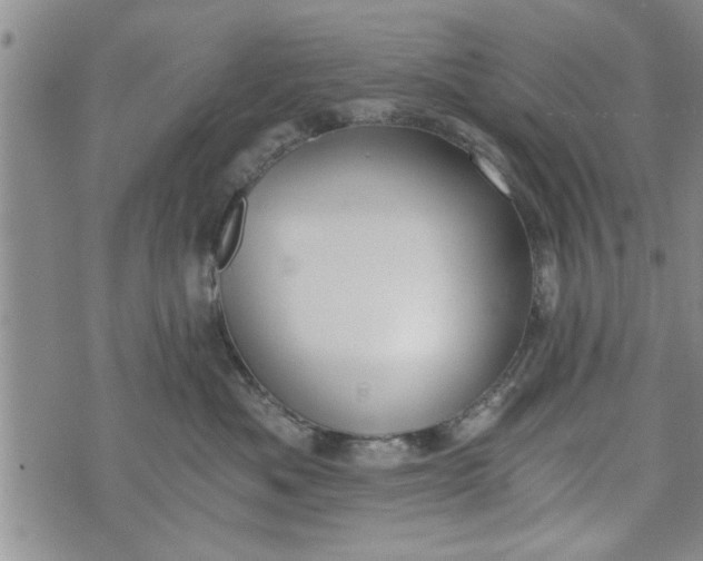 X0000072960525200608041156